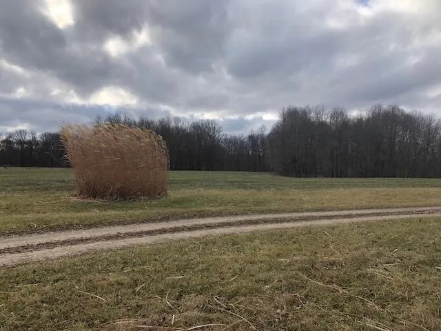 $360,000 | 0 Ridge Lane, Sunman, IN 47041