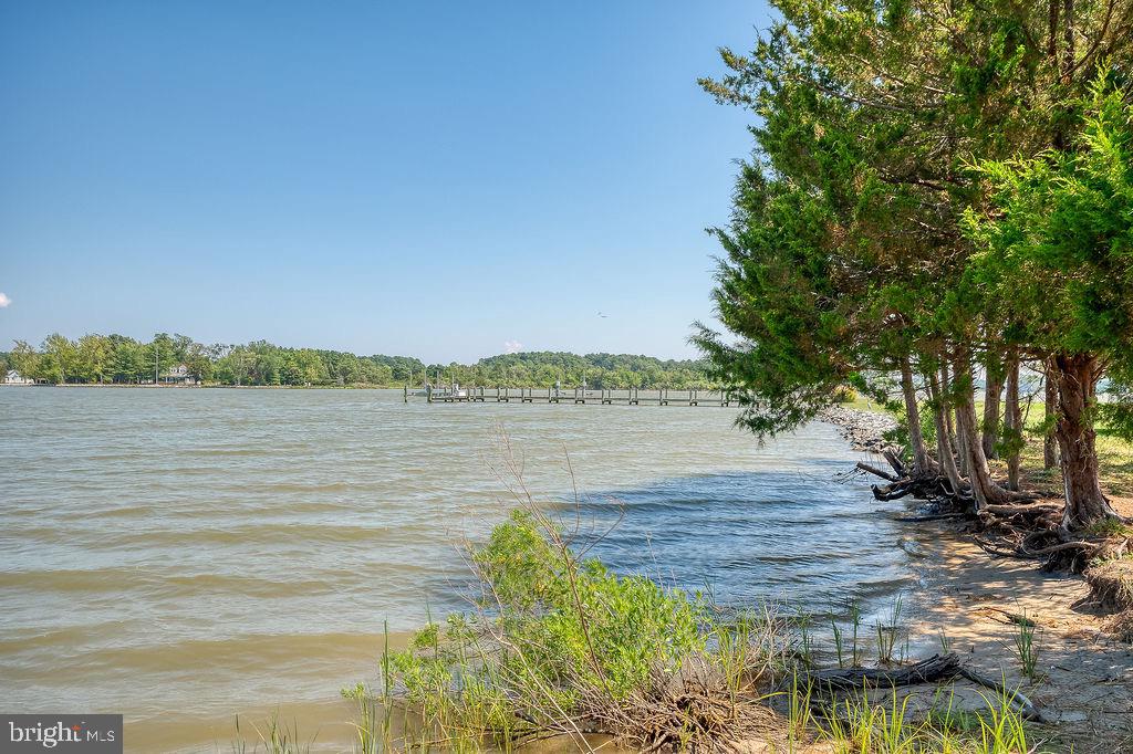 1624 Deep Water Road Woolford, MD 21677 - Photo 11 of 19 Gallery Image 11