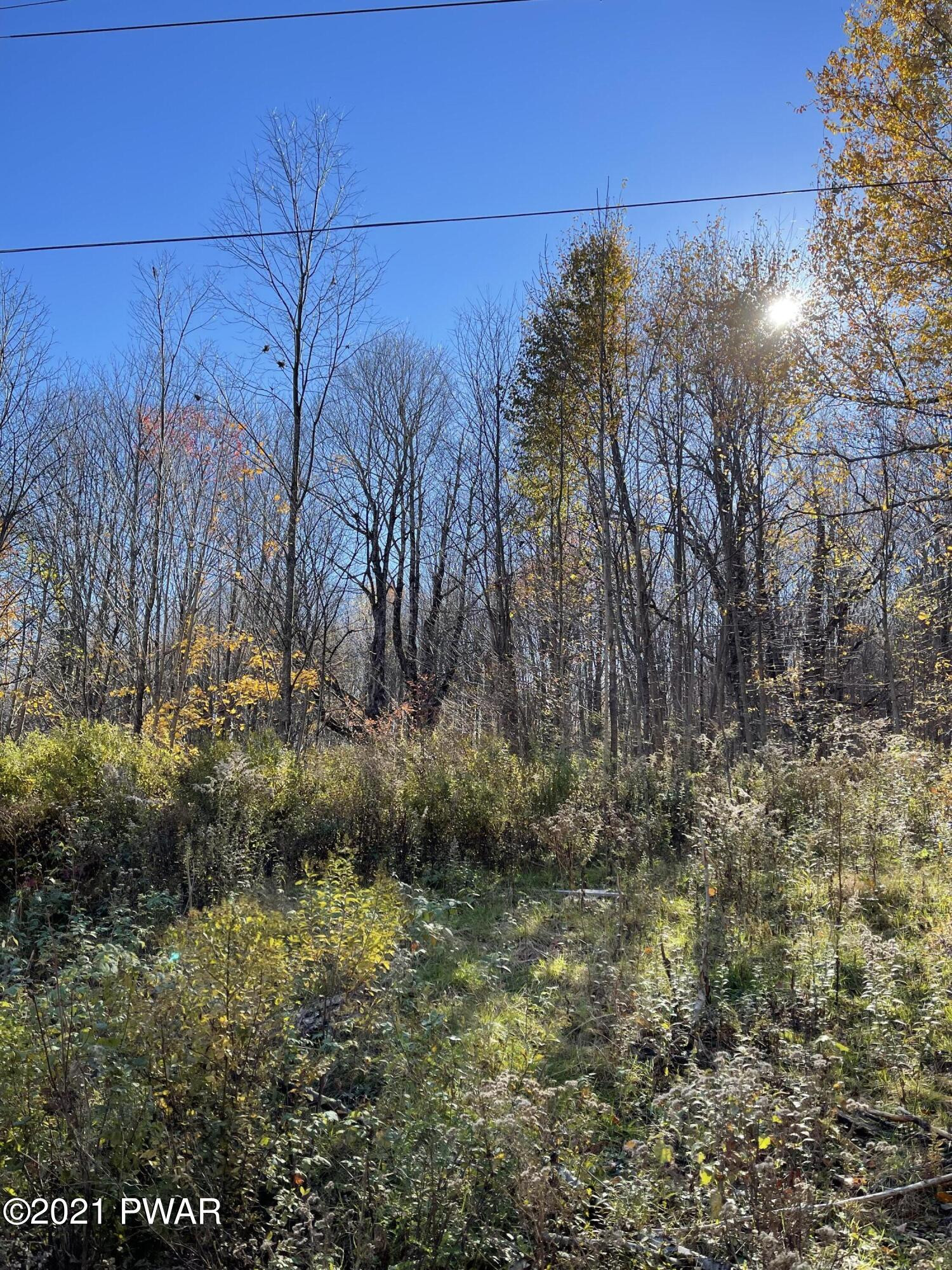 5-acres Welk Road Equinunk, PA 18417 - Photo 1 of 4