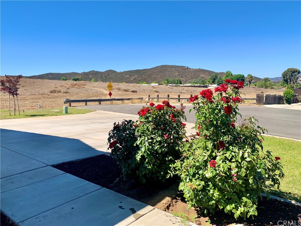 24817 Butterchurn Road Wildomar, CA 92595 - Photo 33 of 39 View from the front yard. So much room to roam!!