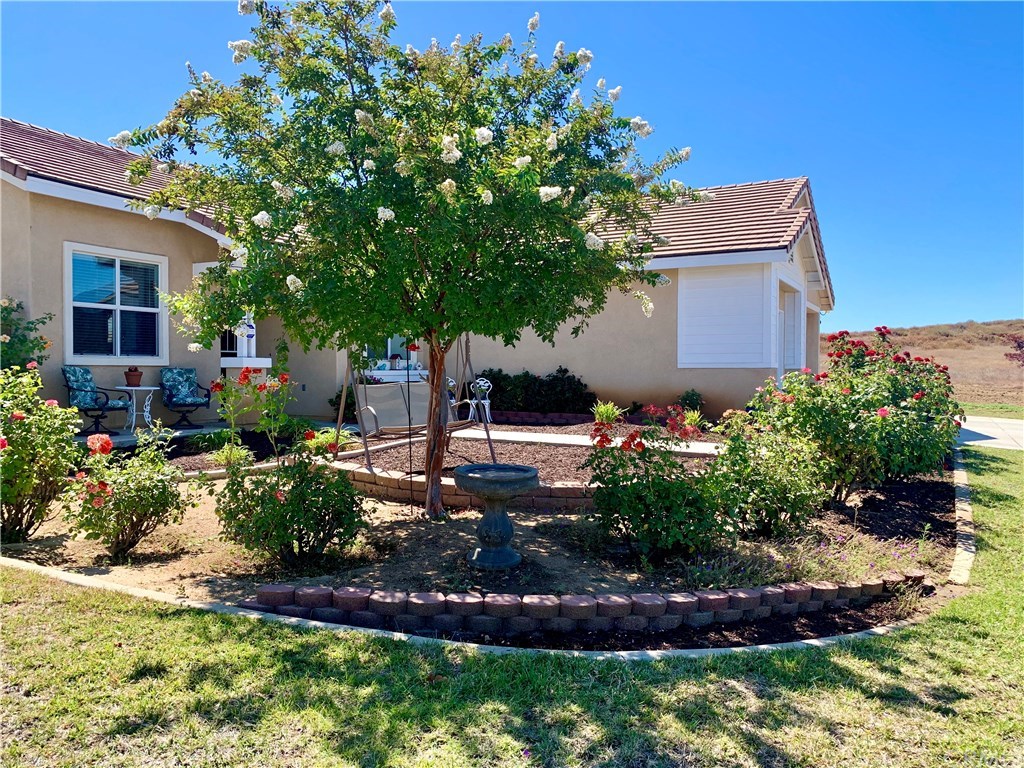 24817 Butterchurn Road Wildomar, CA 92595 - Photo 5 of 39 Beautiful rose garden