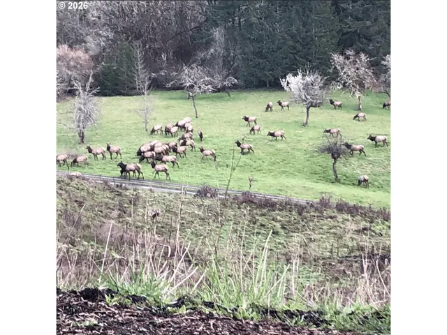 $1,015,000 | 18101 Willamina Creek Road, Willamina, OR 97396