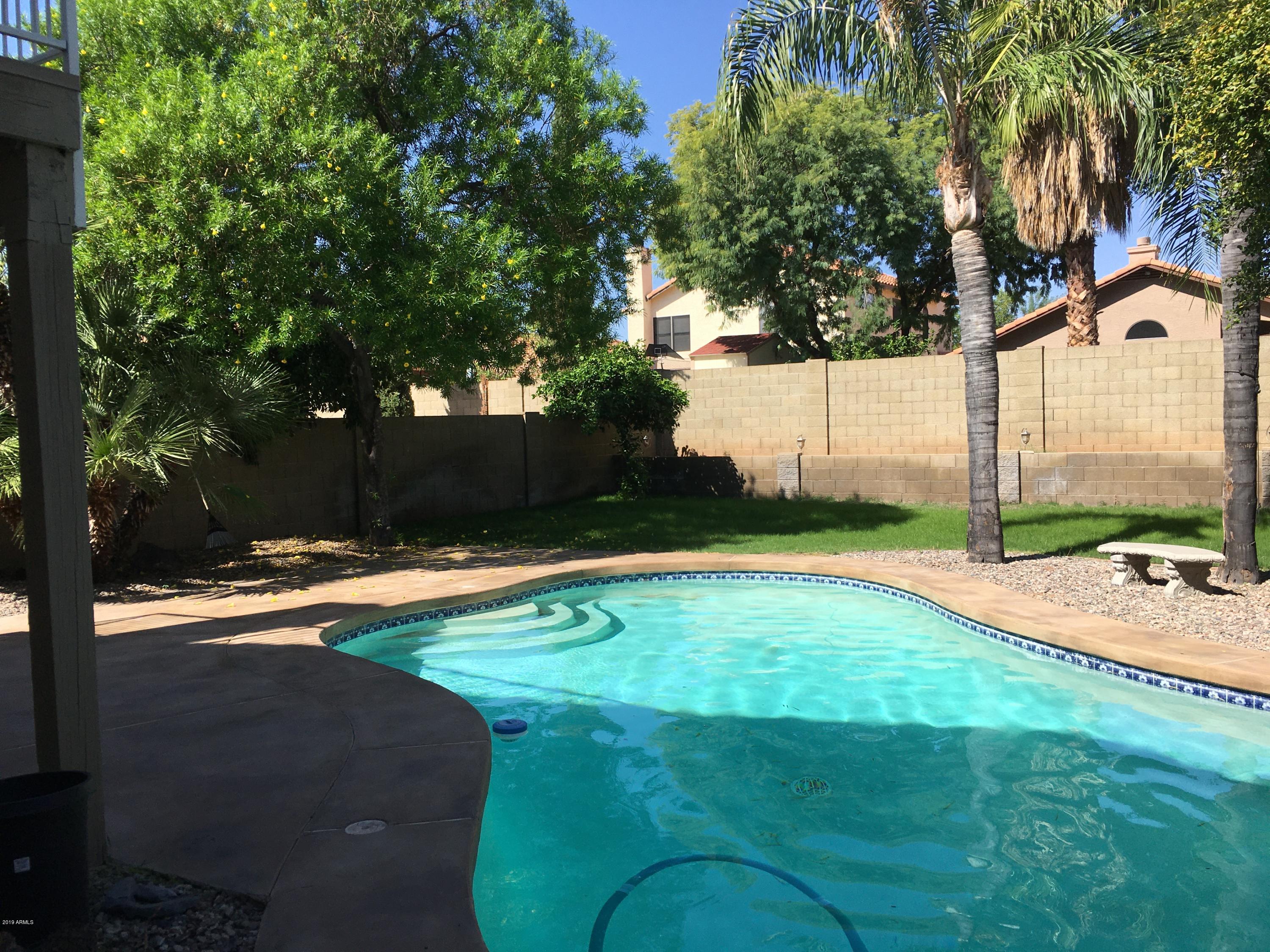 5956 East Phelps Road Scottsdale, AZ 85254 - Photo 4 of 29 Swimming Pool