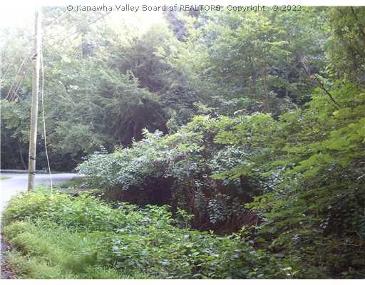 544 South Ruffner Road Charleston, WV 25314 - Photo 8 of 8 Other.