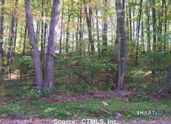 254 Stoddard Road Morris, CT 06763 - Photo 1 of 1 a backyard of a house with lots of green space and garden view