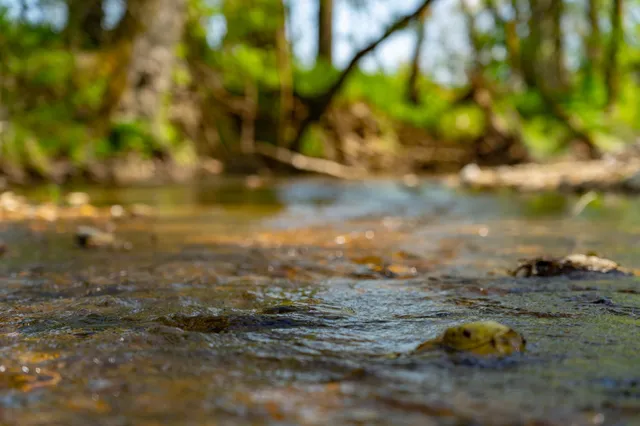 $2,200,000 | 0 Pee Dee Branch Road, Cottontown, TN 37048