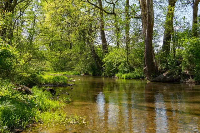 $2,200,000 | 0 Pee Dee Branch Road, Cottontown, TN 37048