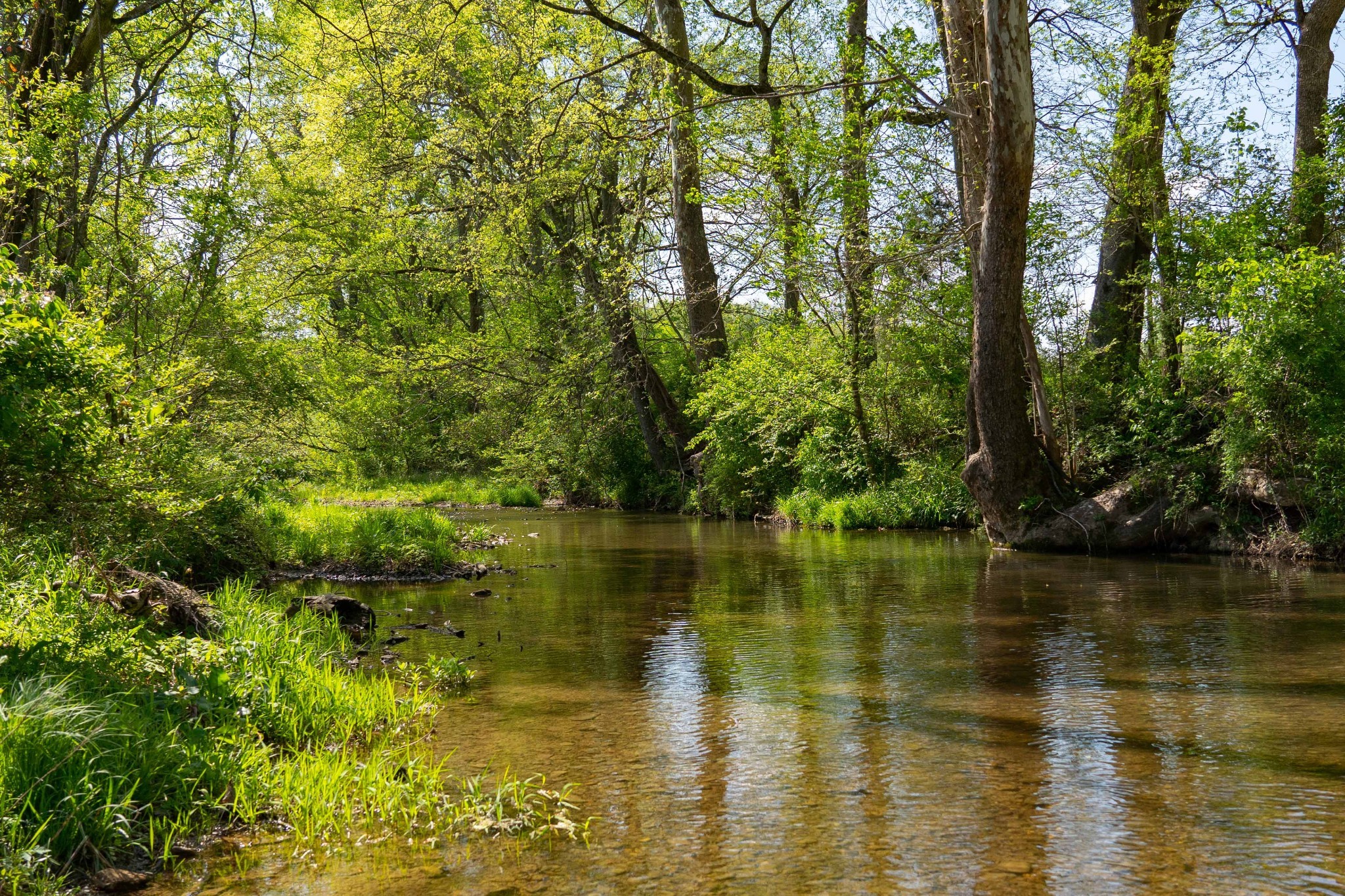 0 Pee Dee Branch Road Cottontown, TN 37048 - Photo 12 of 46 a view of lake