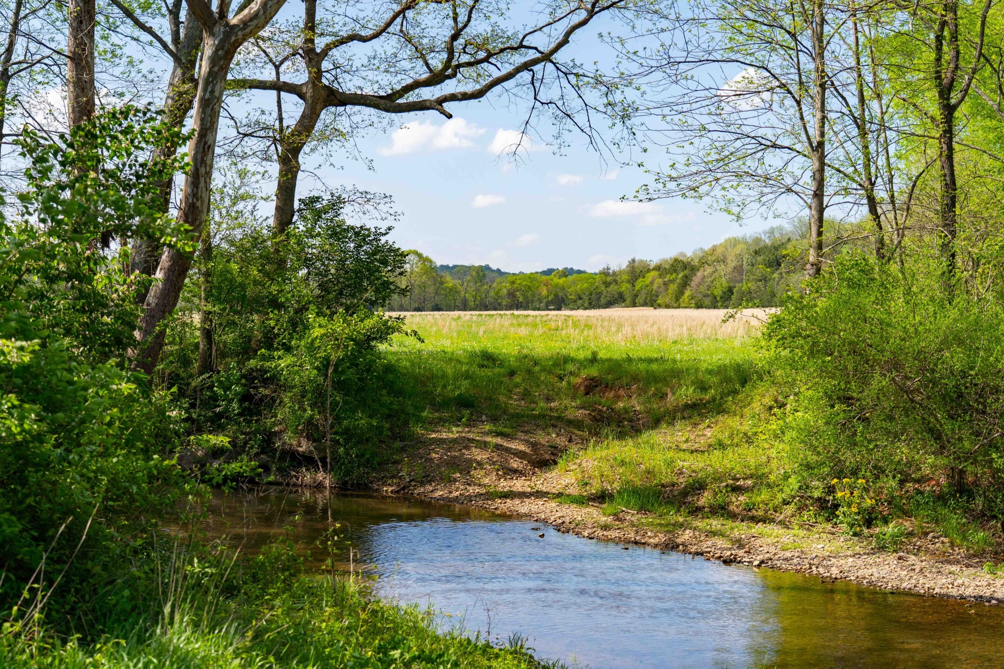 0 Pee Dee Branch Road Cottontown, TN 37048 - Photo 13 of 46 a view of lake with mountain