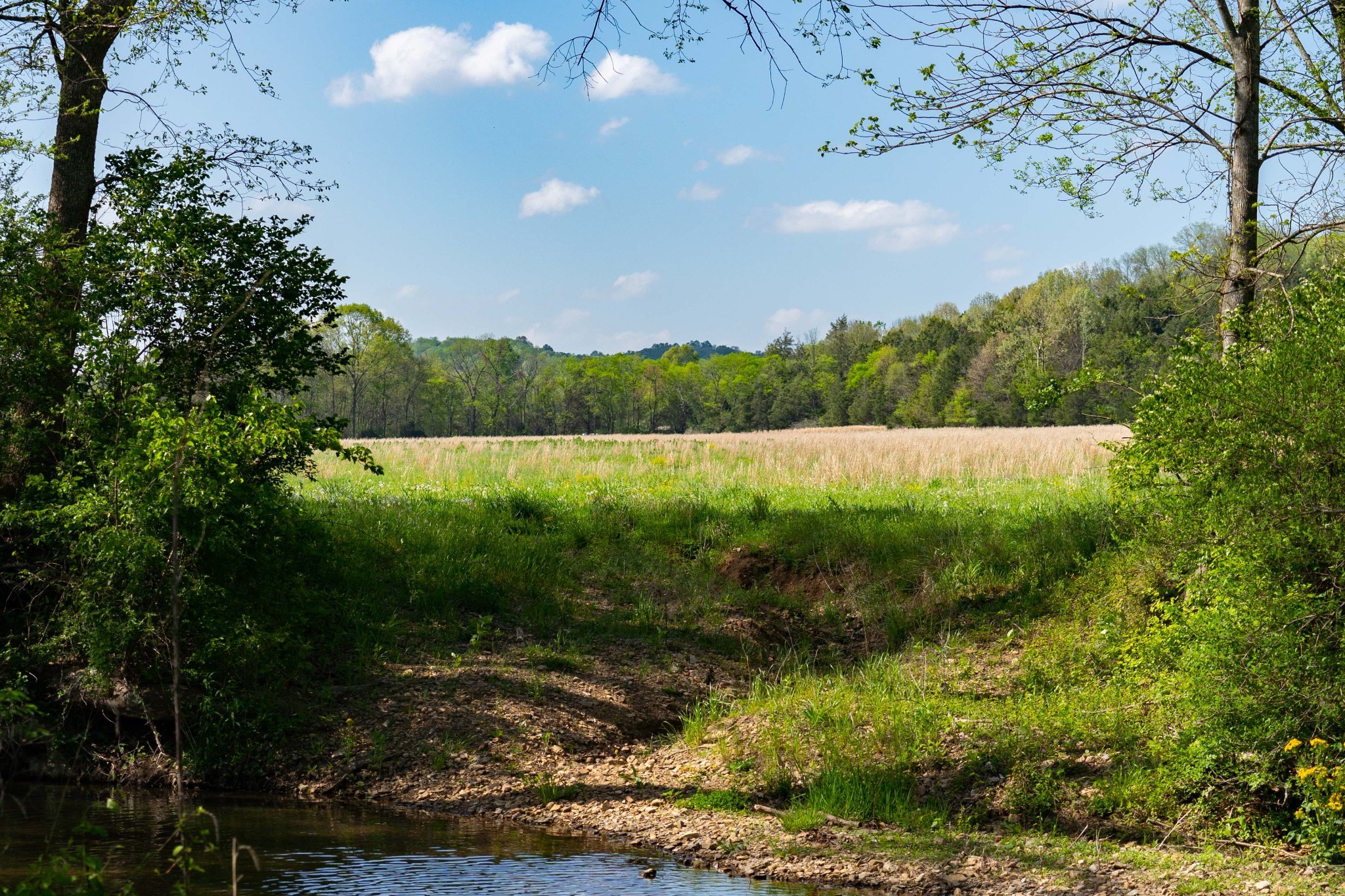 0 Pee Dee Branch Road Cottontown, TN 37048 - Photo 15 of 46 a view of lake with green space