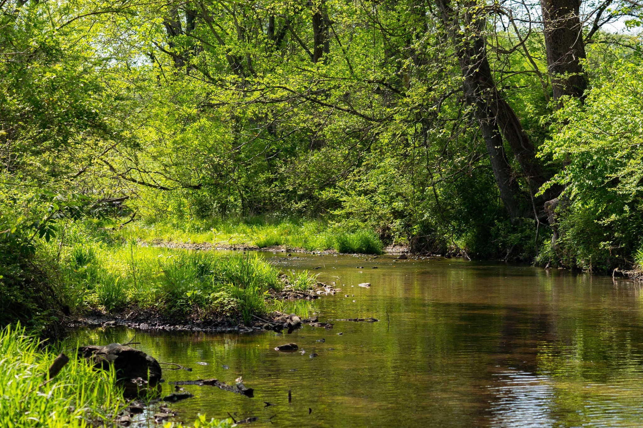 0 Pee Dee Branch Road Cottontown, TN 37048 - Photo 16 of 46 a view of a lake view