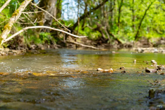 $2,200,000 | 0 Pee Dee Branch Road, Cottontown, TN 37048