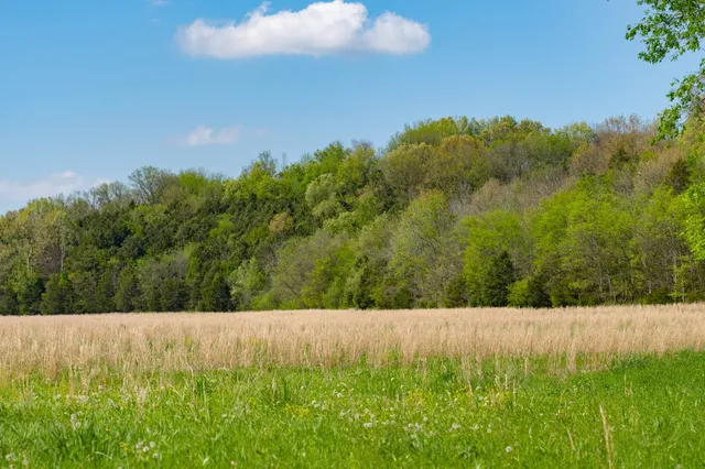 $2,200,000 | 0 Pee Dee Branch Road, Cottontown, TN 37048