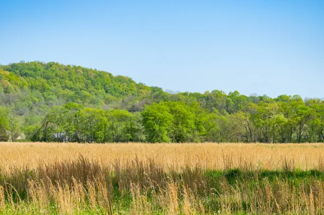 $2,200,000 | 0 Pee Dee Branch Road, Cottontown, TN 37048