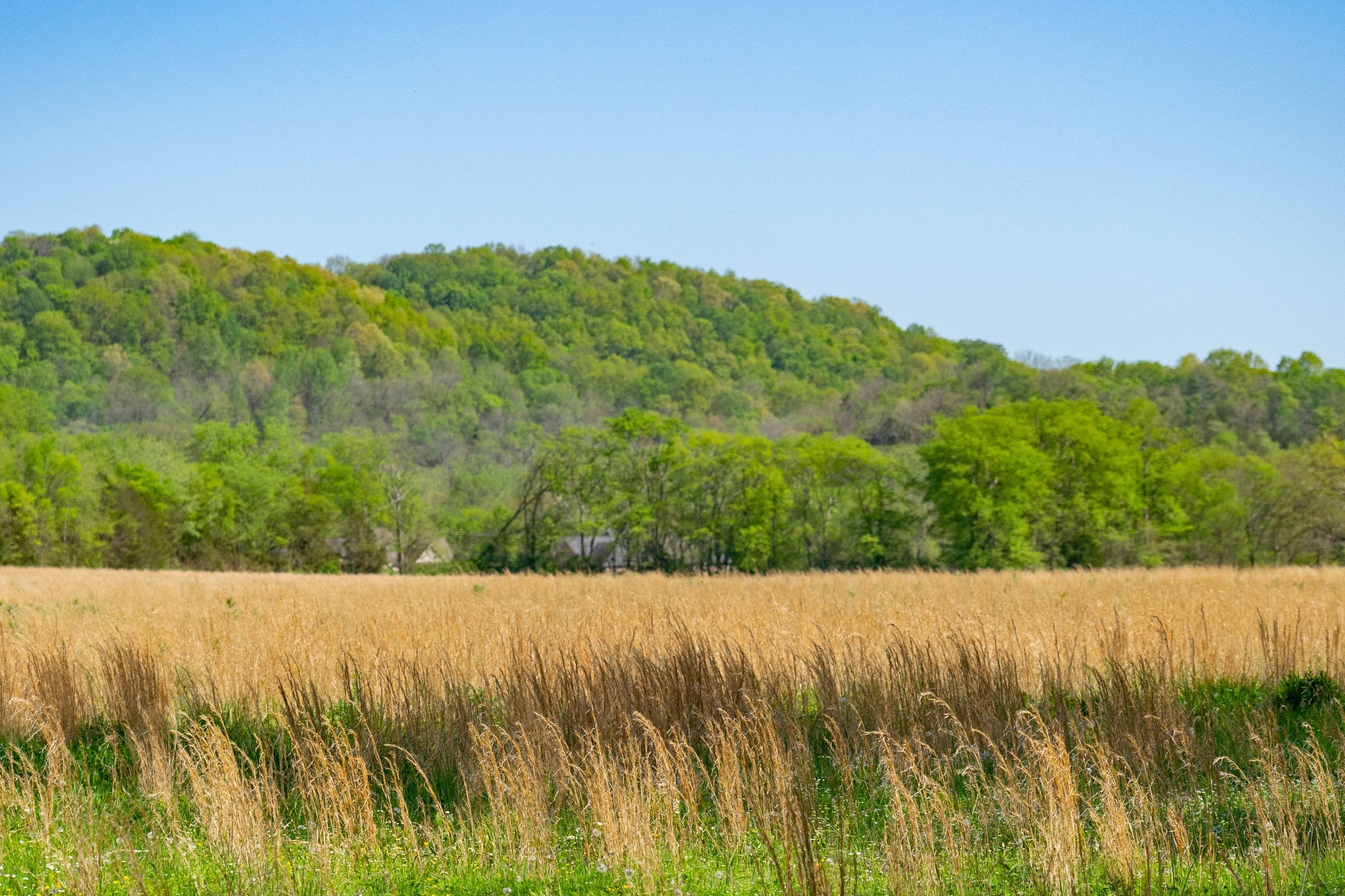0 Pee Dee Branch Road Cottontown, TN 37048 - Photo 23 of 46