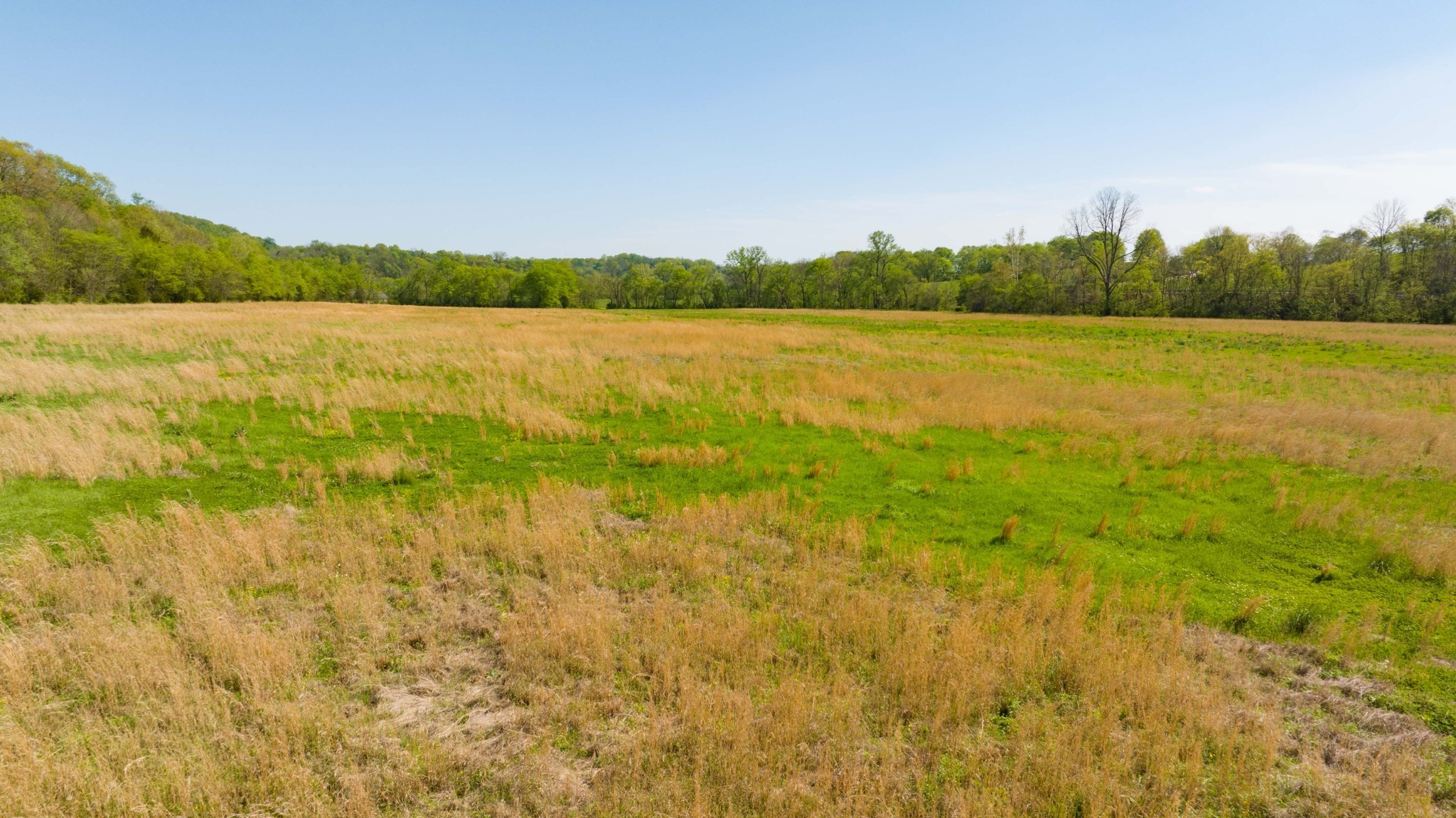 0 Pee Dee Branch Road Cottontown, TN 37048 - Photo 40 of 46 a view of lawn and lake view