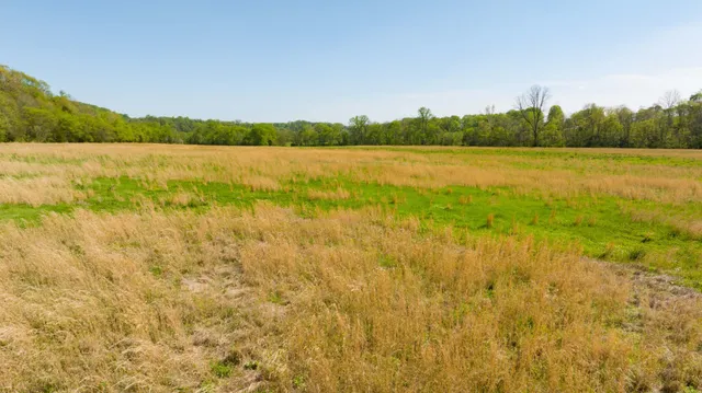 $2,200,000 | 0 Pee Dee Branch Road, Cottontown, TN 37048