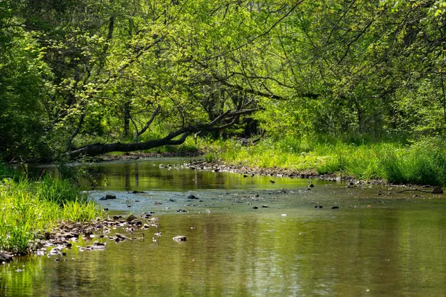 $2,200,000 | 0 Pee Dee Branch Road, Cottontown, TN 37048