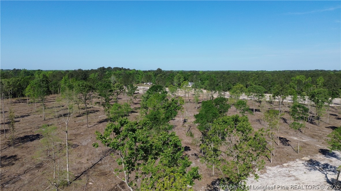 Lot 8 Sand Rock Road Fairmont, NC 28340 - Photo 3 of 4