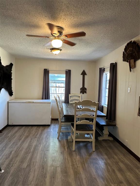 607 Fannin Street Winters, TX 79567 - Photo 9 of 19