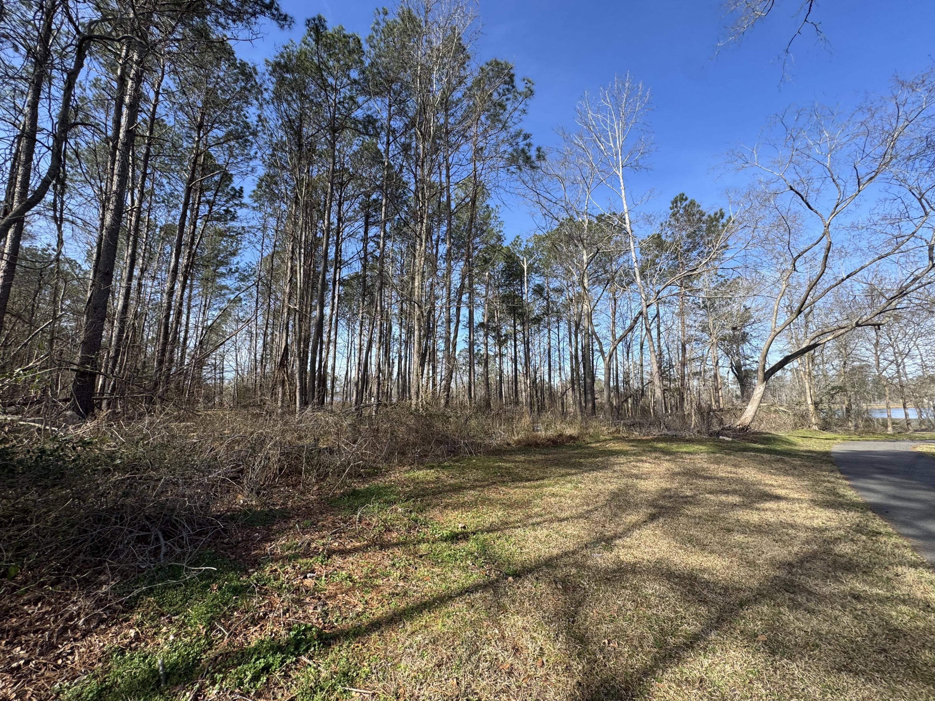 1 Planer Road Edgefield, SC 29824 - Photo 10 of 13