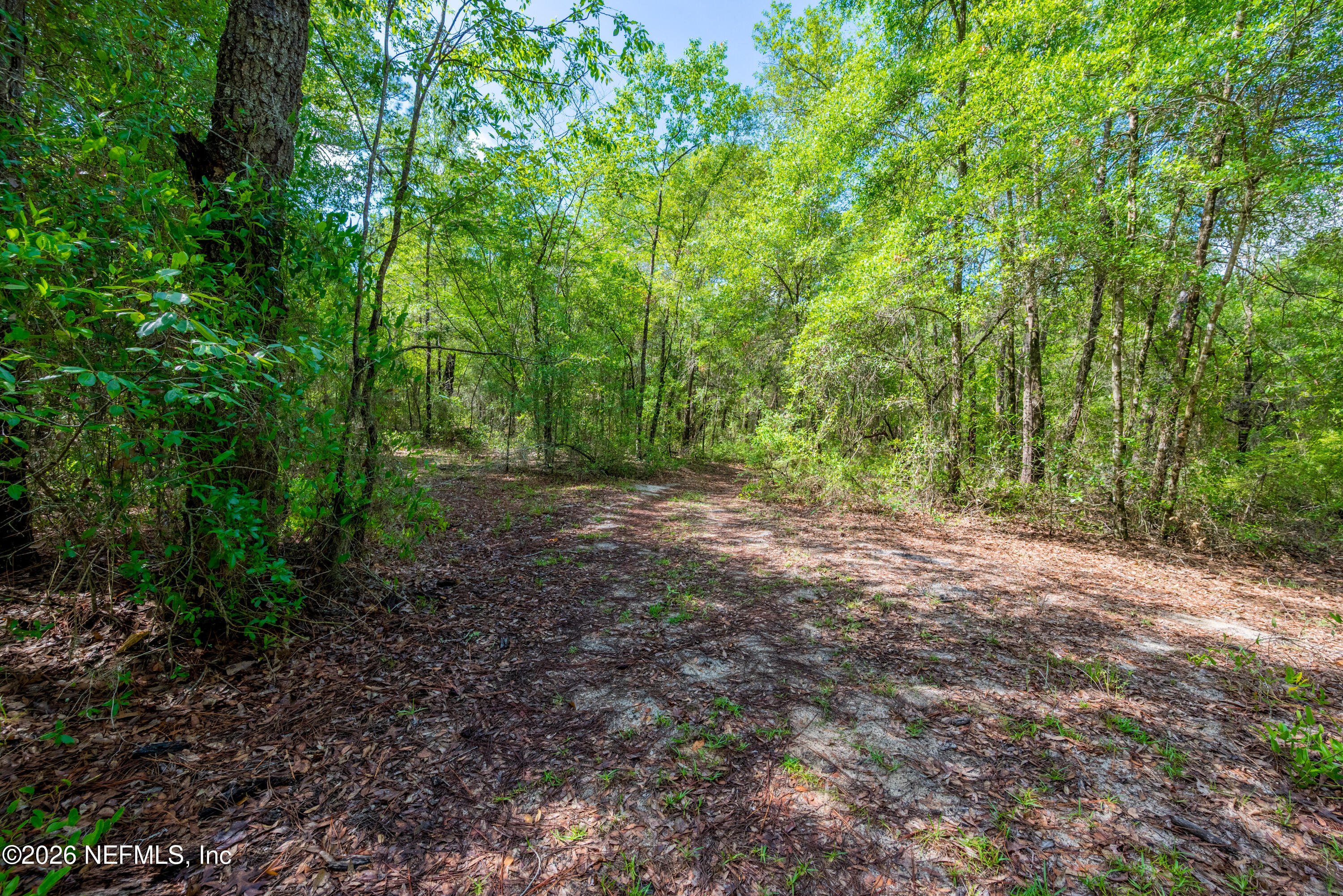 Tbd Lot 4 Southeast Tbd Loop Keystone Heights, FL 32656 - Photo 8 of 17 SE 46th Loop Parcels-2