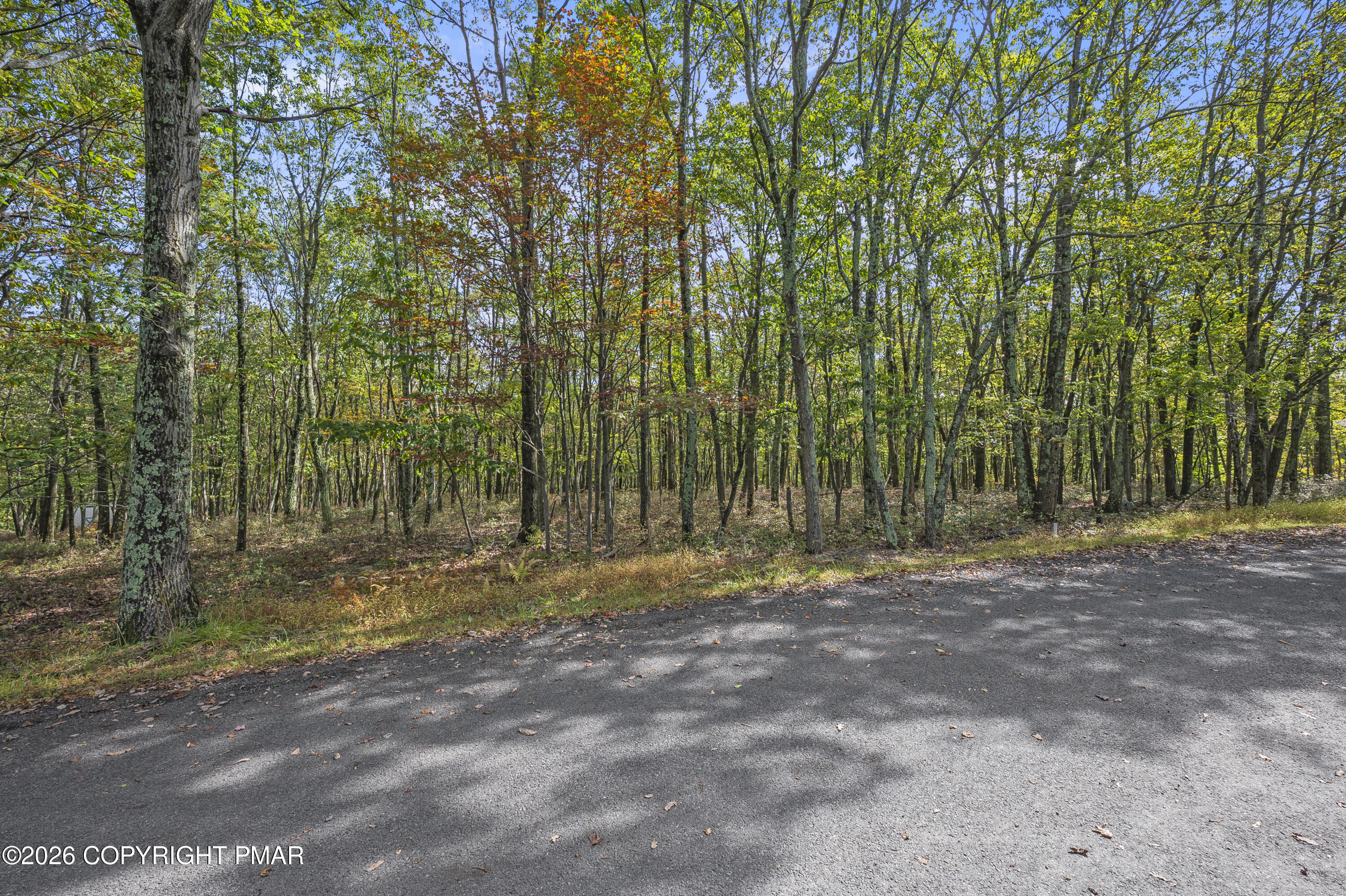 Stone Ridge Road Albrightsville, PA 18210 - Photo 3 of 8 a view of outdoor space with trees