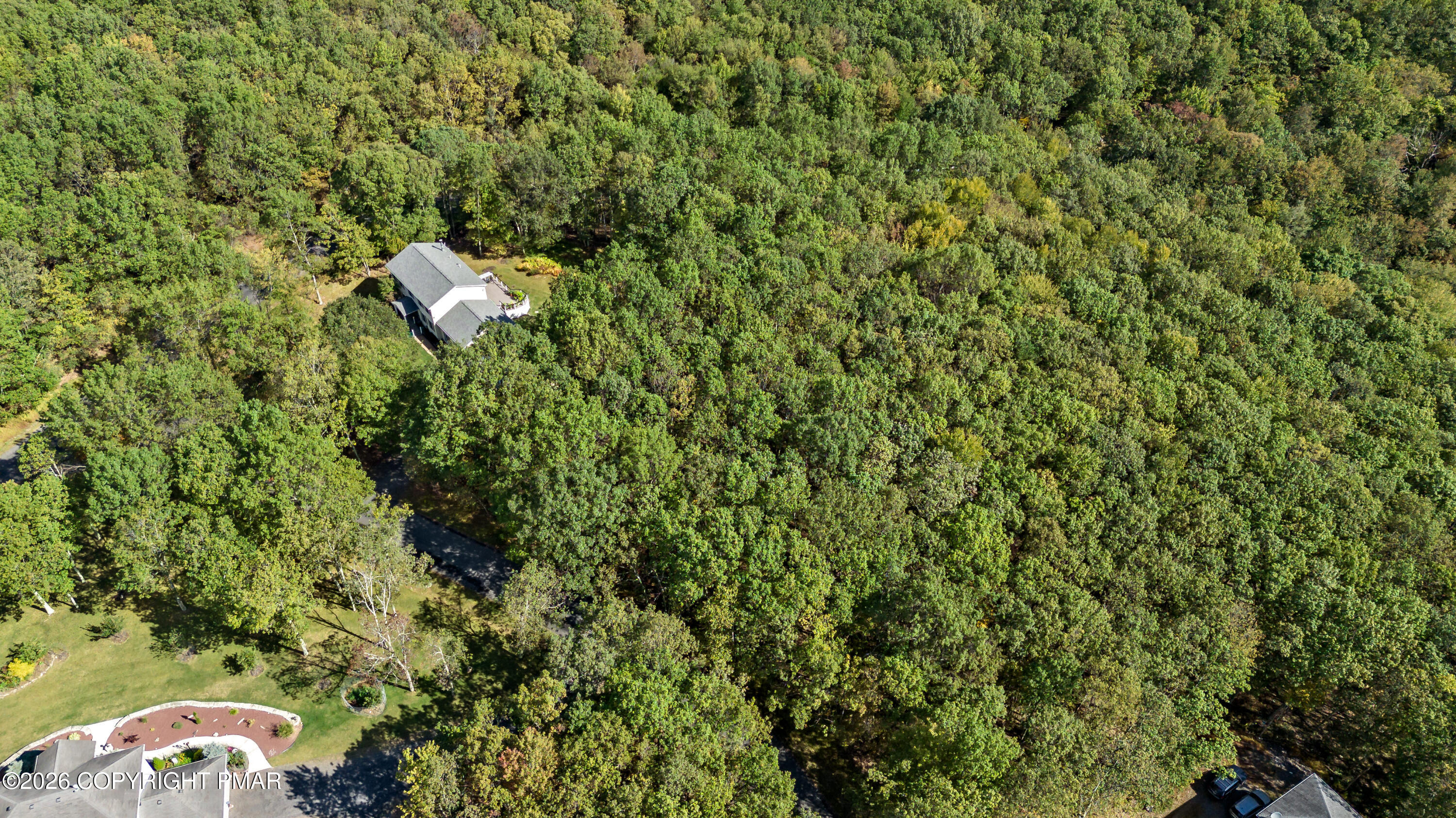 Stone Ridge Road Albrightsville, PA 18210 - Photo 4 of 8 a close up of a plant in a garden