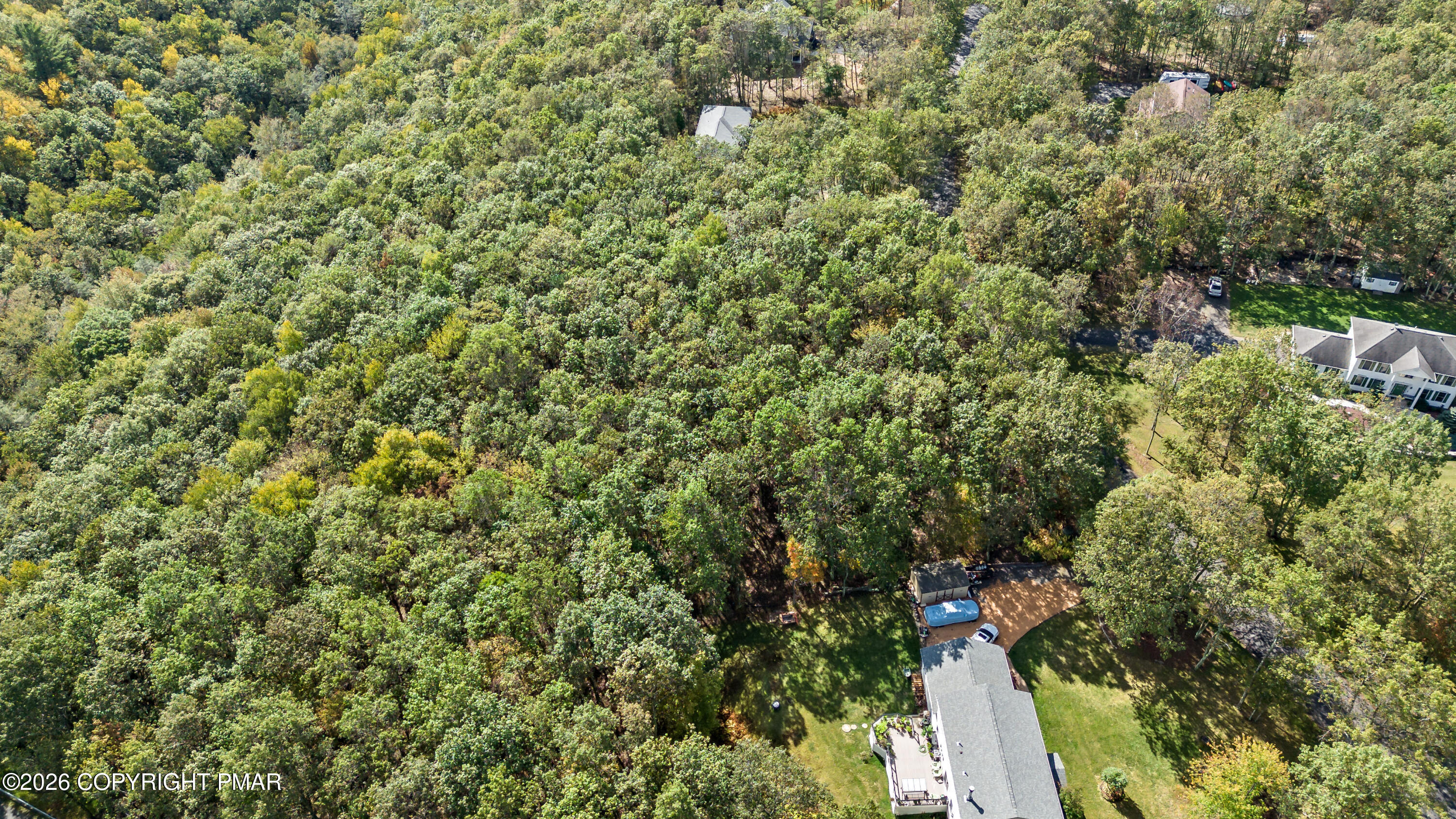 Stone Ridge Road Albrightsville, PA 18210 - Photo 7 of 8 a view of a forest with a tree