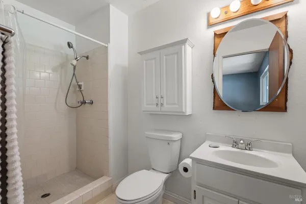 a bathroom with a toilet sink vanity shower and mirror