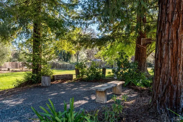 a view of a backyard with table and chairs under a large tree
