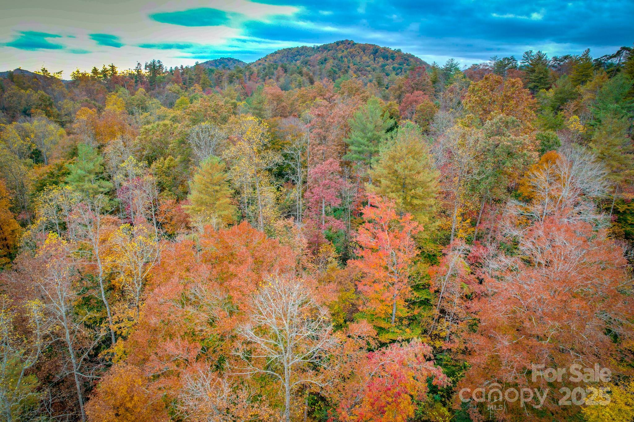 0 Grandin Road, Unit 2 Lenoir, NC 28645 - Photo 4 of 10