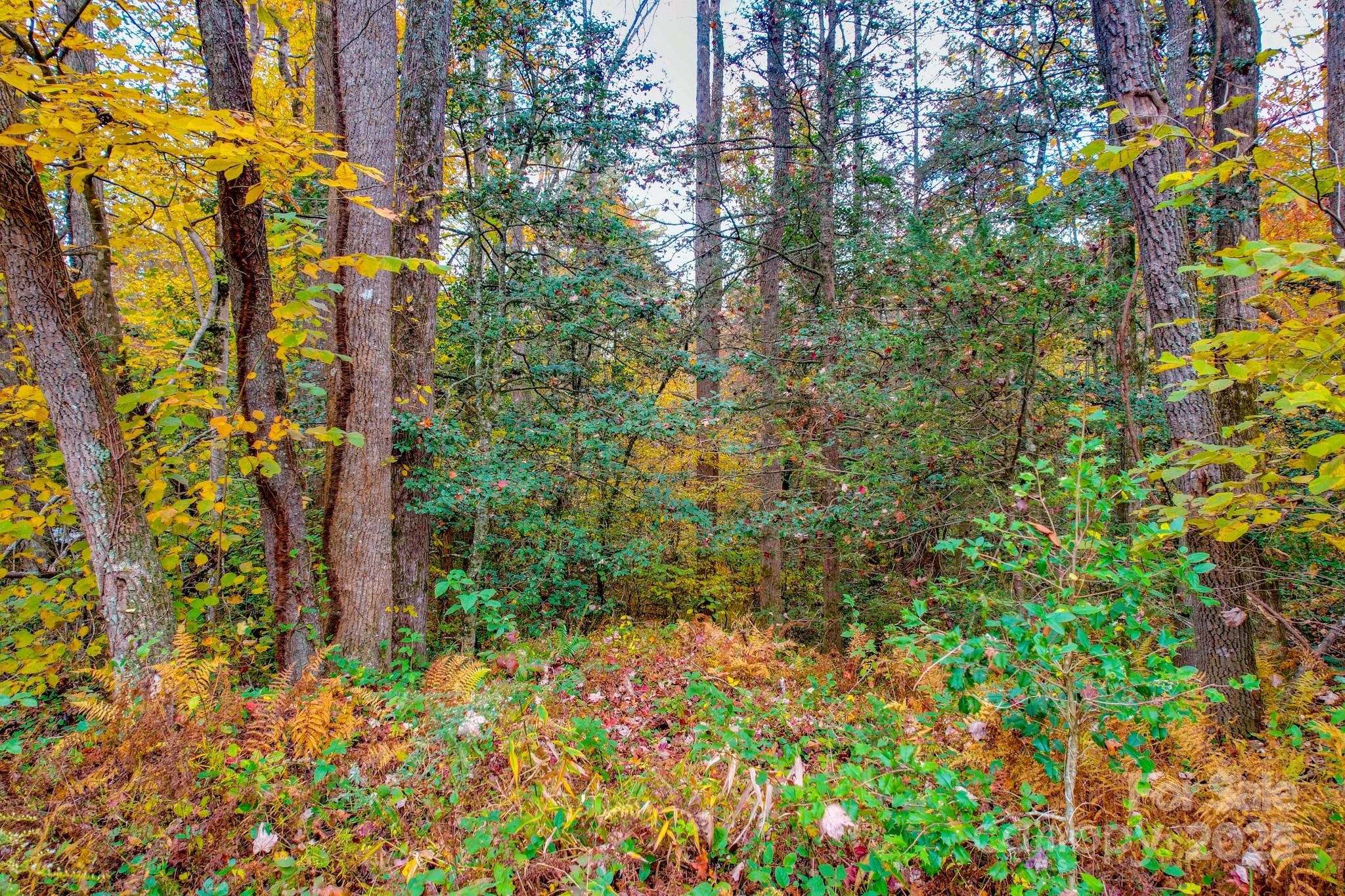 0 Grandin Road, Unit 2 Lenoir, NC 28645 - Photo 5 of 10