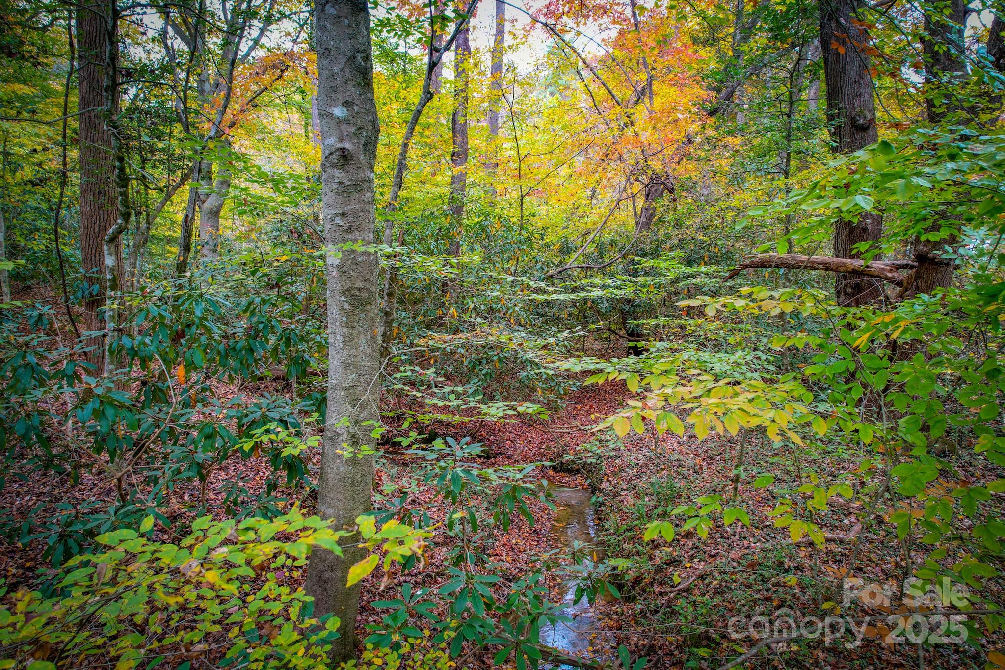 0 Grandin Road, Unit 2 Lenoir, NC 28645 - Photo 6 of 10