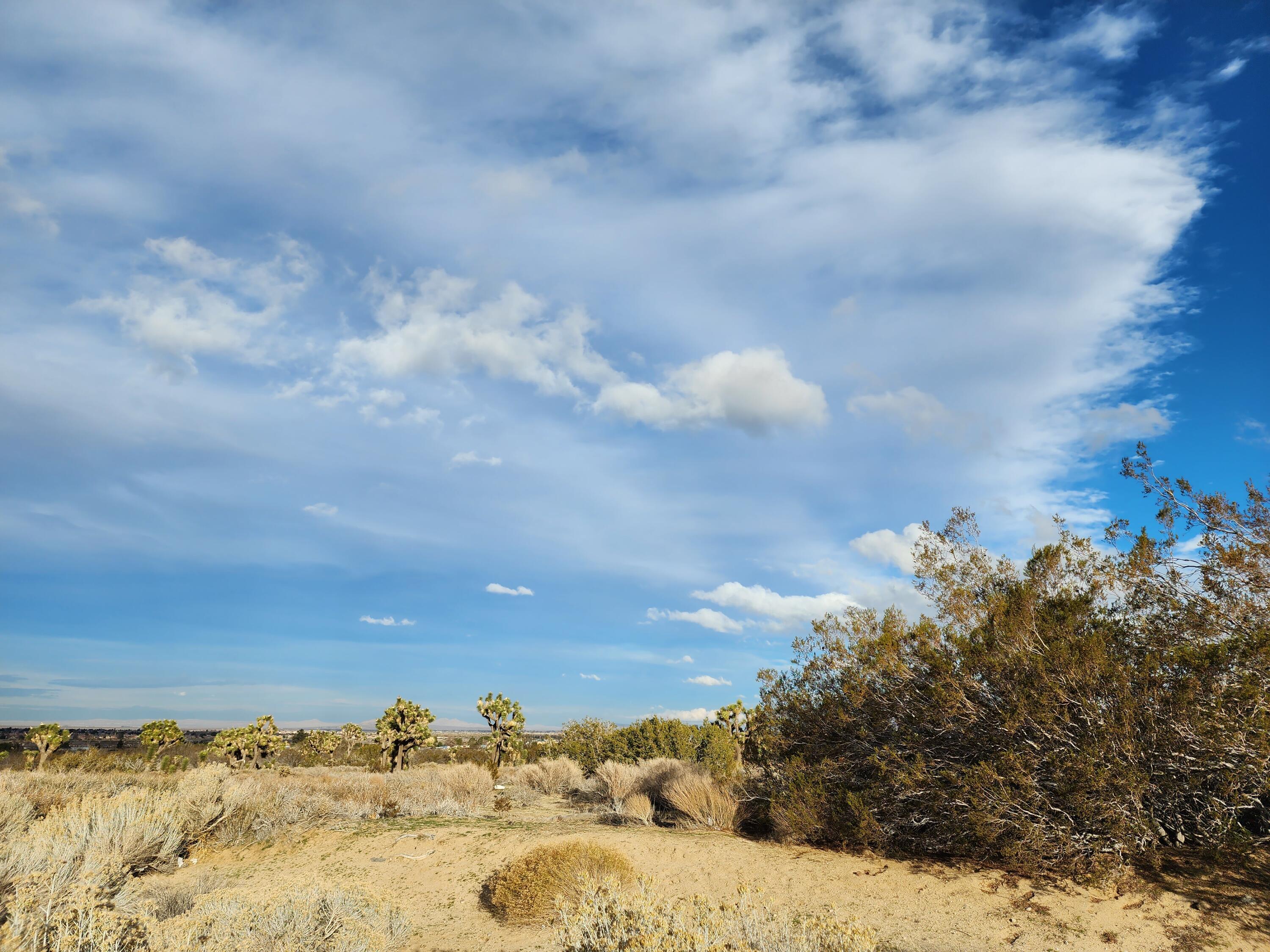 B12 160th Vas Corner Ave