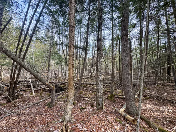 $39,000 | M11-l10 Gordon Hill Road, Thorndike, ME 04986