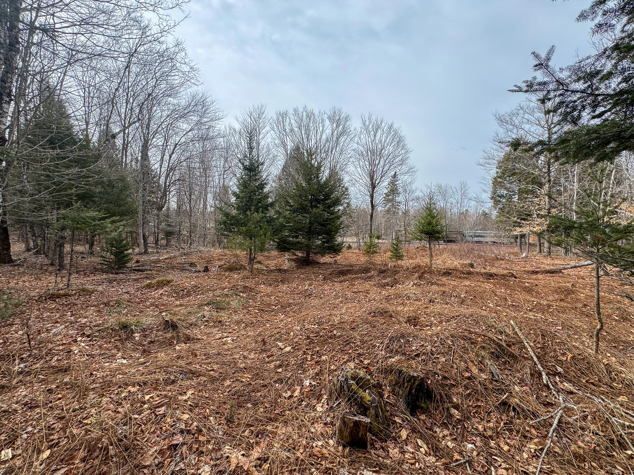 M11-l10 Gordon Hill Road Thorndike, ME 04986 - Photo 13 of 17 13