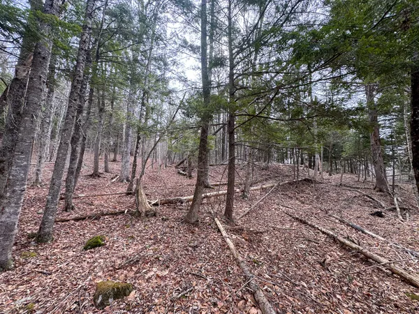 $39,000 | M11-l10 Gordon Hill Road, Thorndike, ME 04986