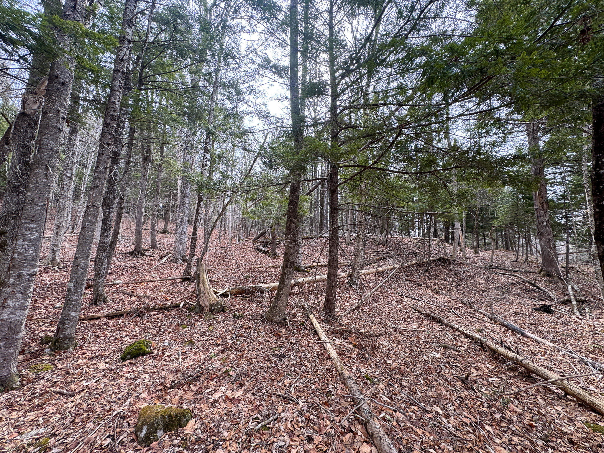 M11-l10 Gordon Hill Road Thorndike, ME 04986 - Photo 15 of 17 15