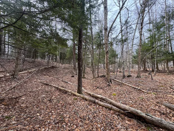 $39,000 | M11-l10 Gordon Hill Road, Thorndike, ME 04986