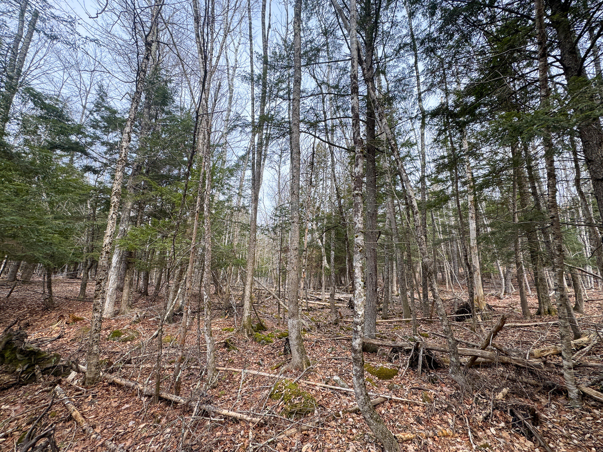 M11-l10 Gordon Hill Road Thorndike, ME 04986 - Photo 17 of 17 17