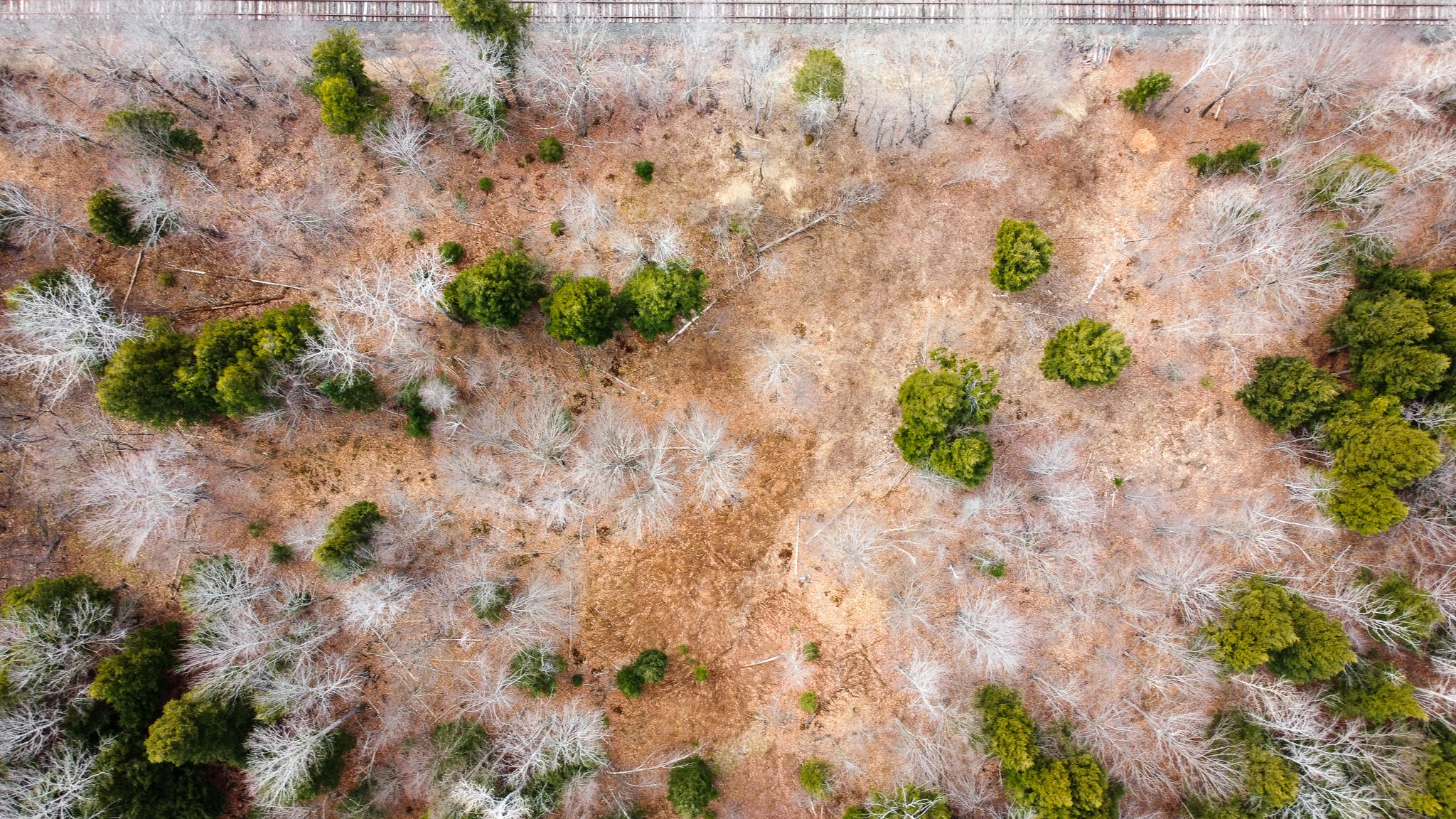 M11-l10 Gordon Hill Road Thorndike, ME 04986 - Photo 7 of 17 7