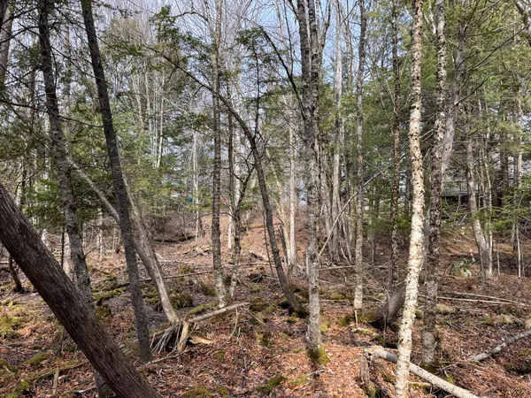 $39,000 | M11-l10 Gordon Hill Road, Thorndike, ME 04986