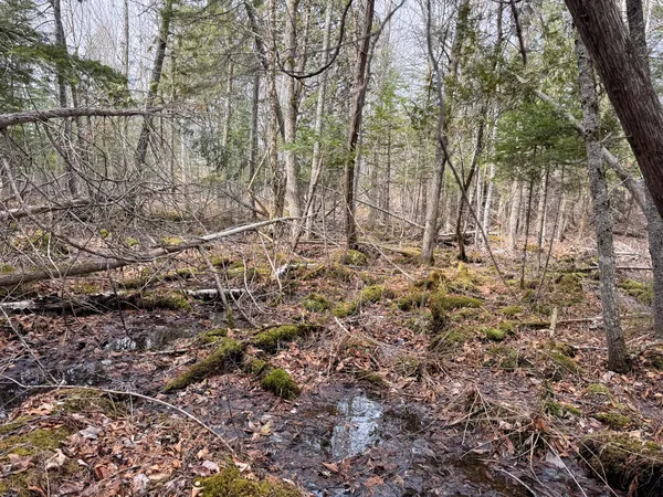 $39,000 | M11-l10 Gordon Hill Road, Thorndike, ME 04986