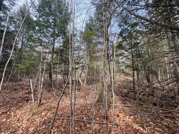 $39,000 | M11-l10 Gordon Hill Road, Thorndike, ME 04986