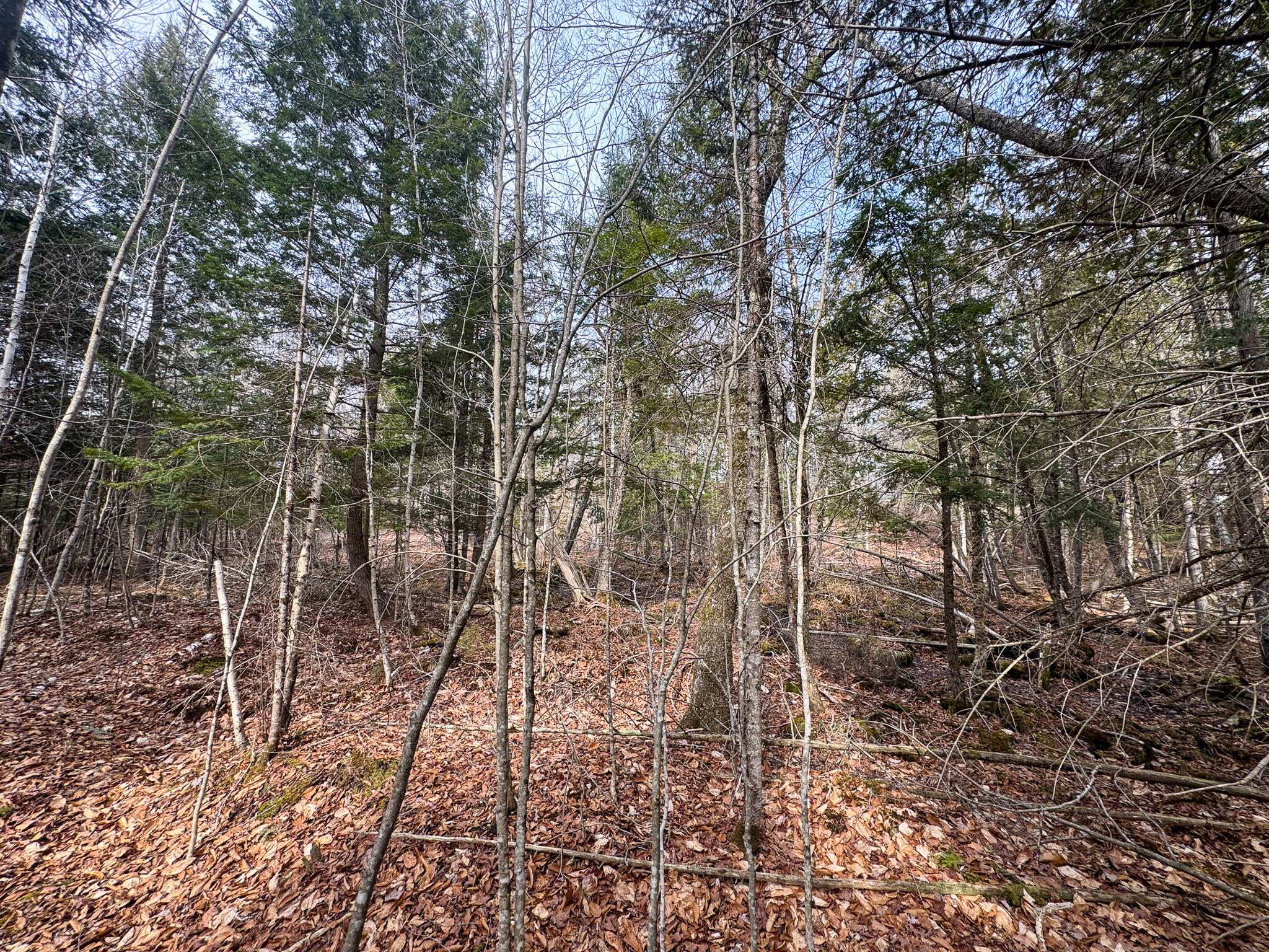 M11-l10 Gordon Hill Road Thorndike, ME 04986 - Photo 10 of 17 10