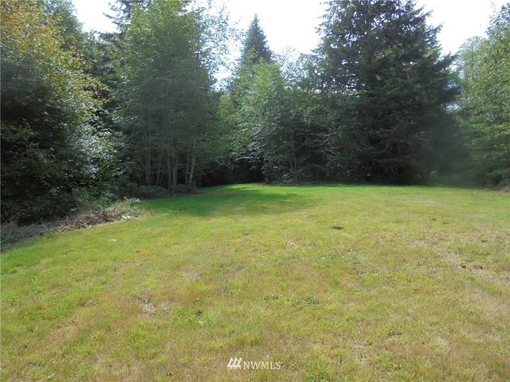 1987 West Ford Loop Road Elma, WA 98541 - Photo 7 of 25 Gallery Image 7