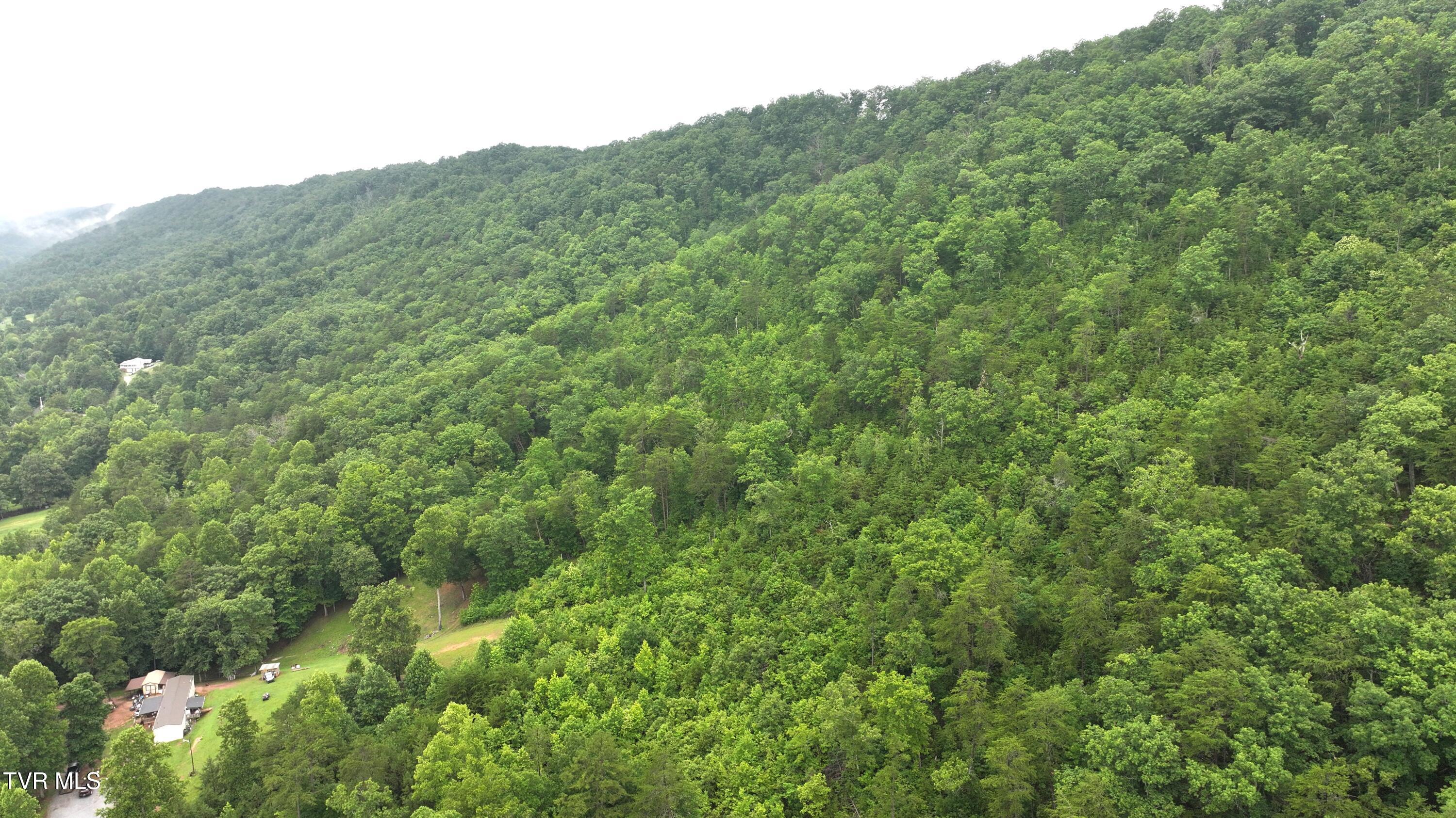 901 Grassy Creek Road Rogersville, TN 37857 - Photo 13 of 35 DJI_20250628092114_0019_D