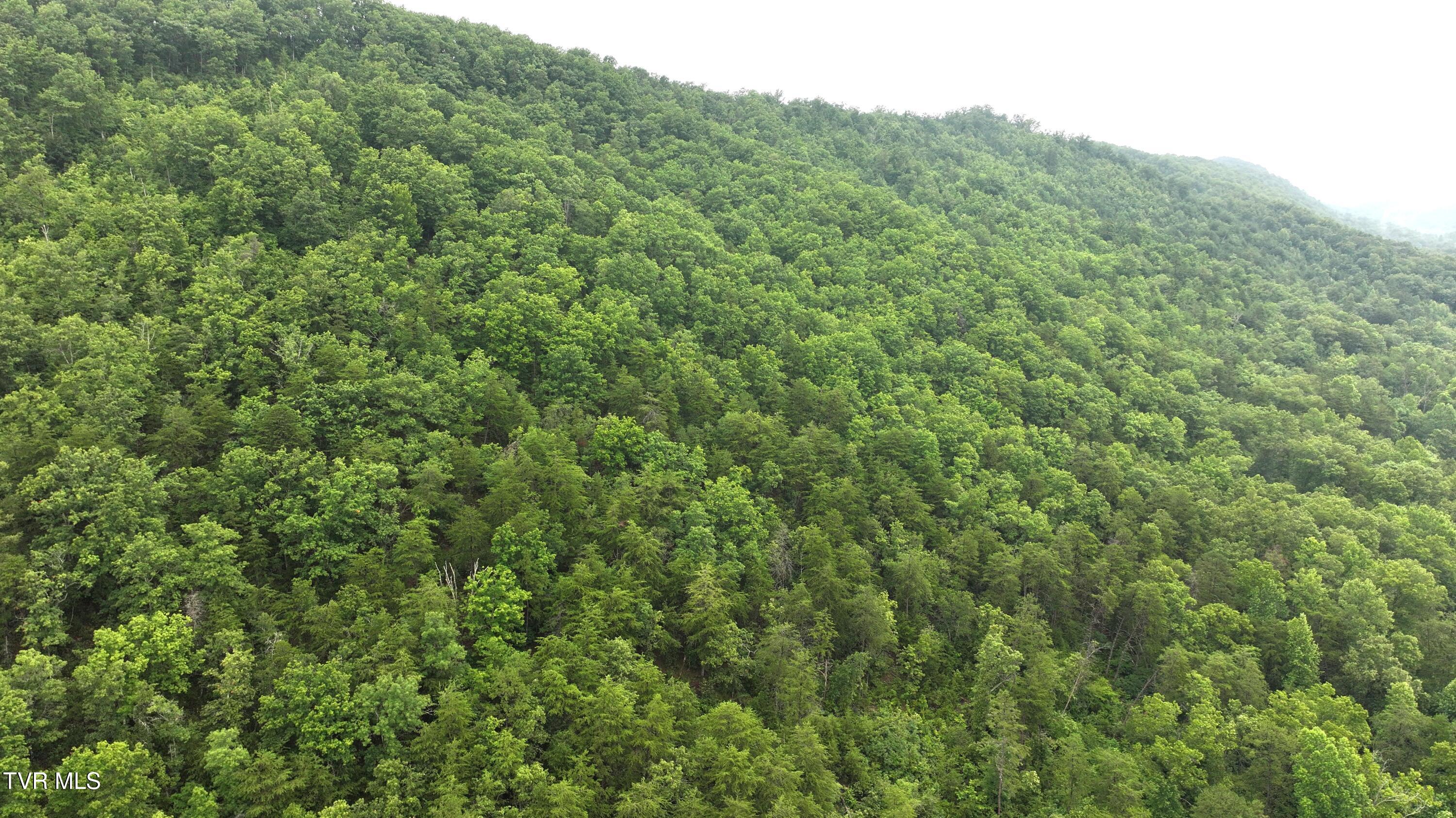 901 Grassy Creek Road Rogersville, TN 37857 - Photo 15 of 35 DJI_20250628092132_0021_D