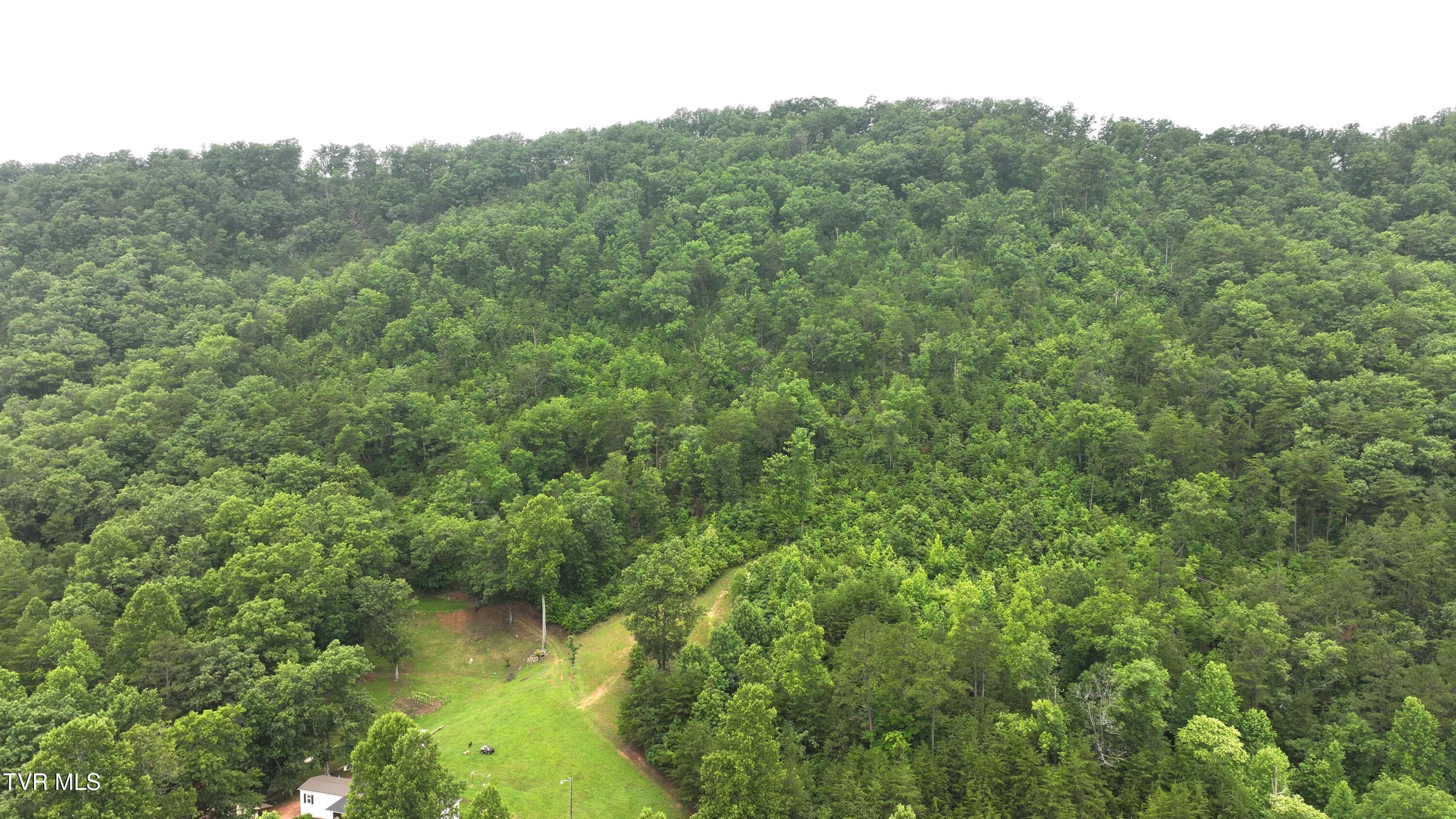 901 Grassy Creek Road Rogersville, TN 37857 - Photo 20 of 35 DJI_20250628100512_0031_D